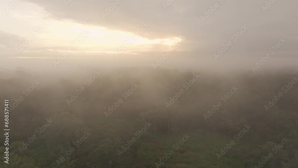 Low fog at Rio dulce during magical morning Guatemala, aerial Low fog at Rio dulce during magical morning Guatemala, aerial