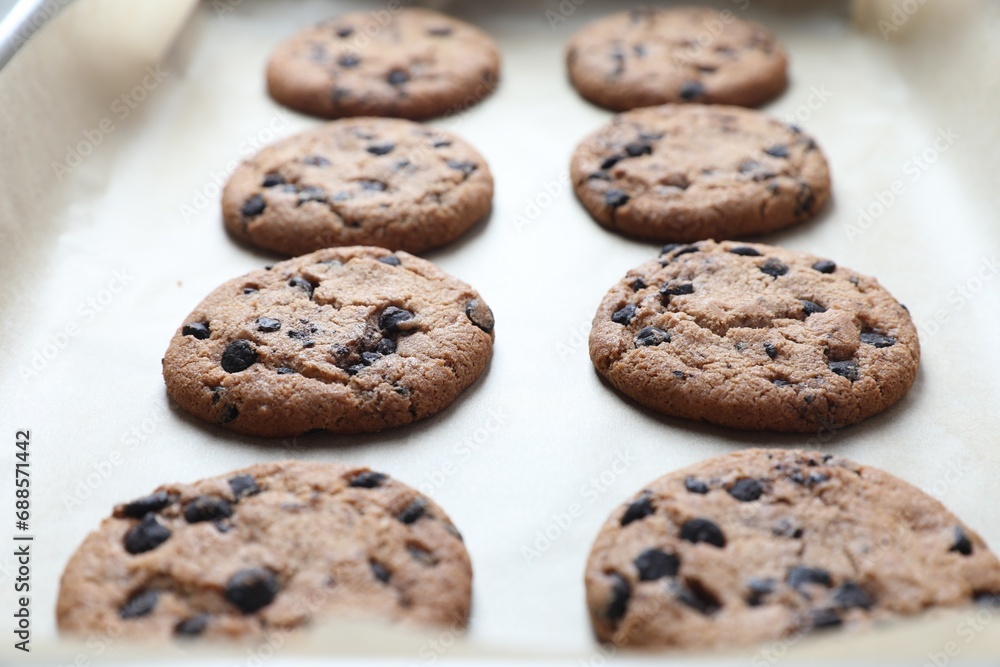 Chocolate chip cookies on parchment paper, closeup