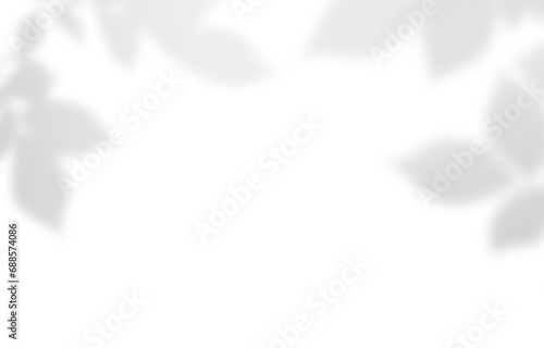 Soft shadows of leaves on w...