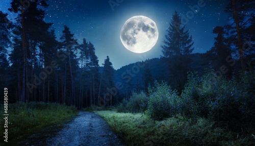 dark night forest full moon