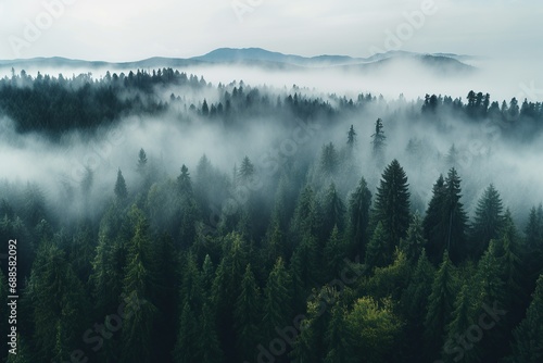 horizontal drone aerial view of a forest landscape in a foggy day AI generated