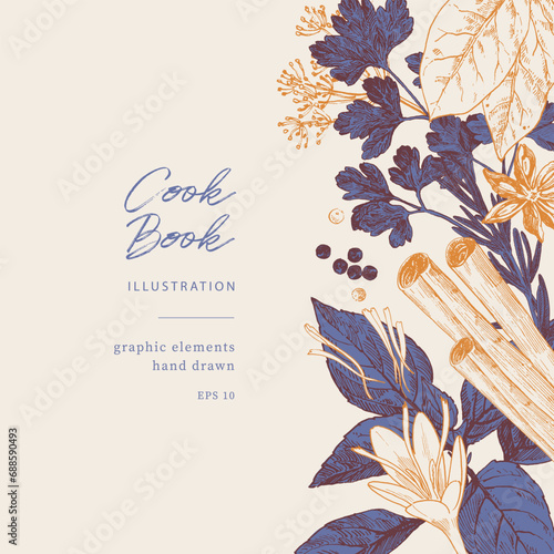 Hand drawn illustrations of spices and culinary herbs. Graphic elements for cook book design, restaurant menu and recipe sheets. Botanical and culinary illustration