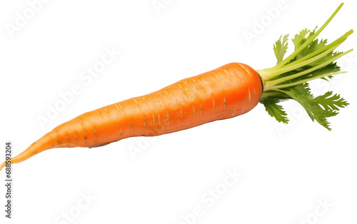 Carrot Delight On Isolated Background
