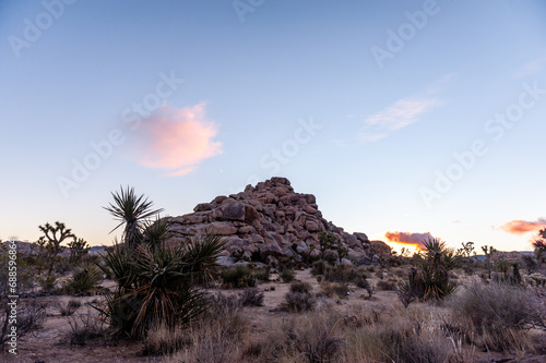 Impression of an early morning sunrise in Joshua Tree national park on an early winter morning.