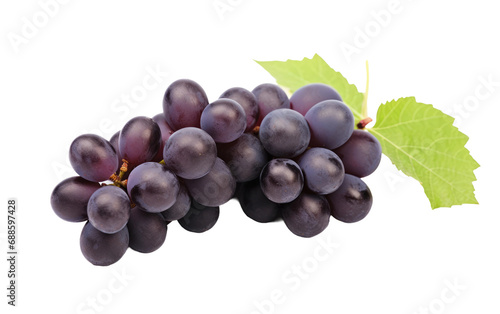 Grape Beauty On Isolated Background