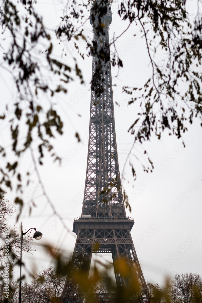 The Eiffel Tower through autumn branches in Paris