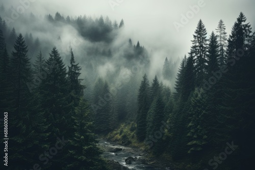 Enigmatic Misty Pines: A Serene Forest Stream at Dawn