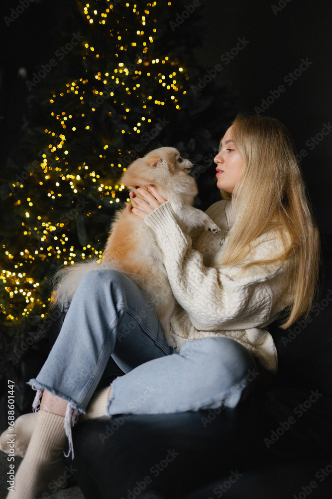 A beautiful young European girl with her Pomeranian cream-white spitz dog is sitting on the sofa, behind a Christmas tree with lights and a Christmas atmosphere A beautiful young European girl with her Pomeranian cream-white spitz dog is sitting on the sofa, behind a Christmas tree with lights and a Christmas atmosphere