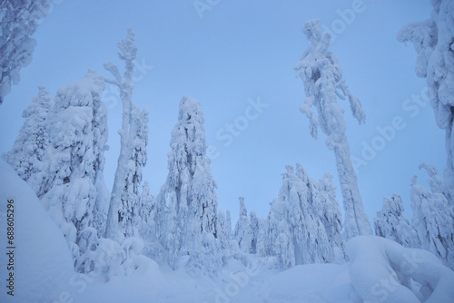 Lapland winter landscape, tree snow winter nature, christmas finland forest, frost mountain, arctic lapland sunset, scandinavia, idyllic north scenery sunrise, fairy tale