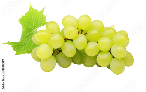 Chinese Royal Grape On Isolated Background