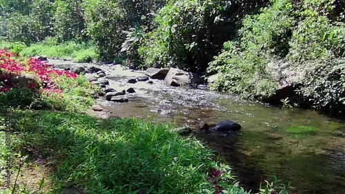 a river that flows in the mountains with clear water and various kinds of plants around