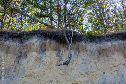 Fototapeta Naklejka Na Ścianę i Meble -  Steep coast with erosion on the island of Poel on the Baltic Sea, Germany