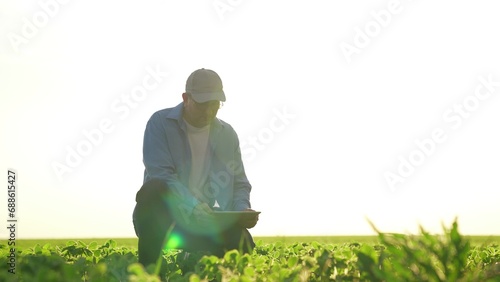 senior farmer with tablet inspects corn wheat field. agricultural fresh sprouts field. farmer agronomist engineer with digital tablet. modern farm.industry organic growth sprout. Agriculture