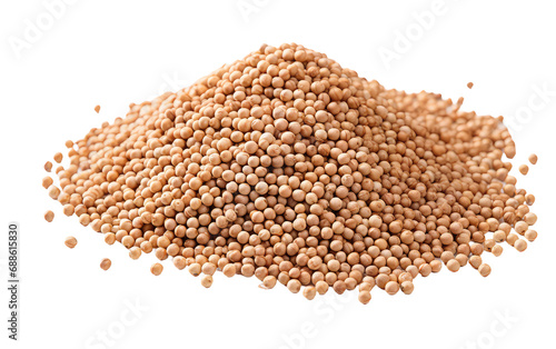 Quinoa Seed Showcase On Transparent PNG