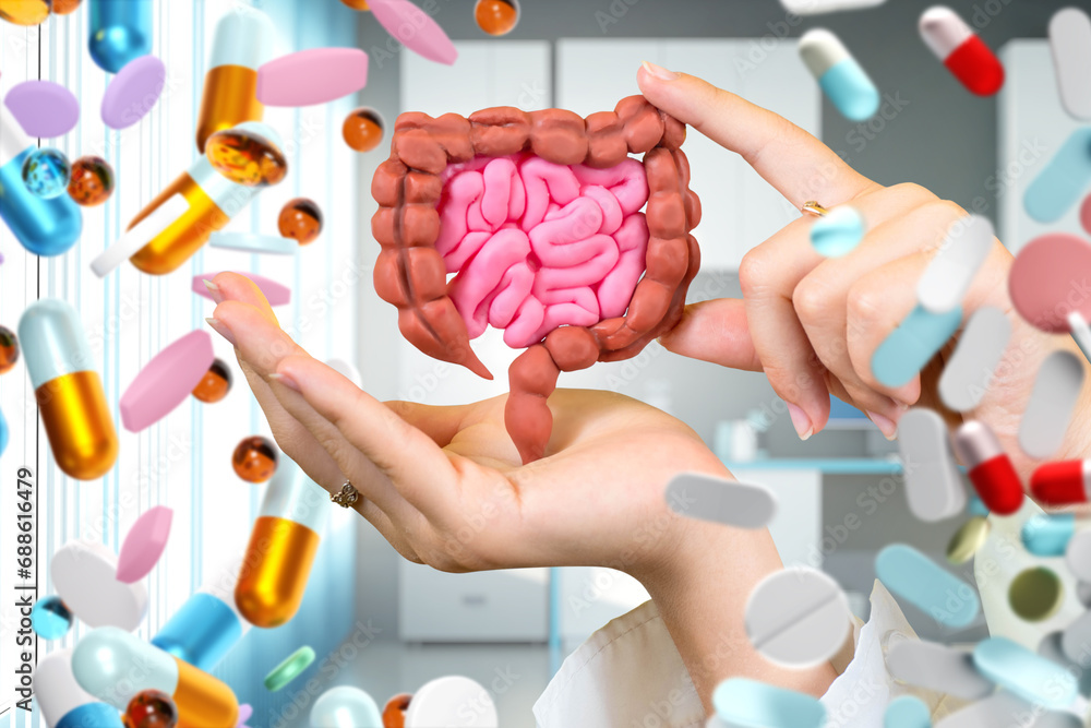 Intestinal tract among tablets. Doctor hands with model of intestine