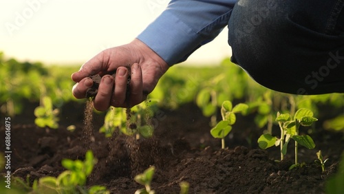 farmer holds soil field hand. Agriculture. methods growing processing plants, various technologies practices aimed increasing productivity improving product quality, farmer holds soil hand field soil.