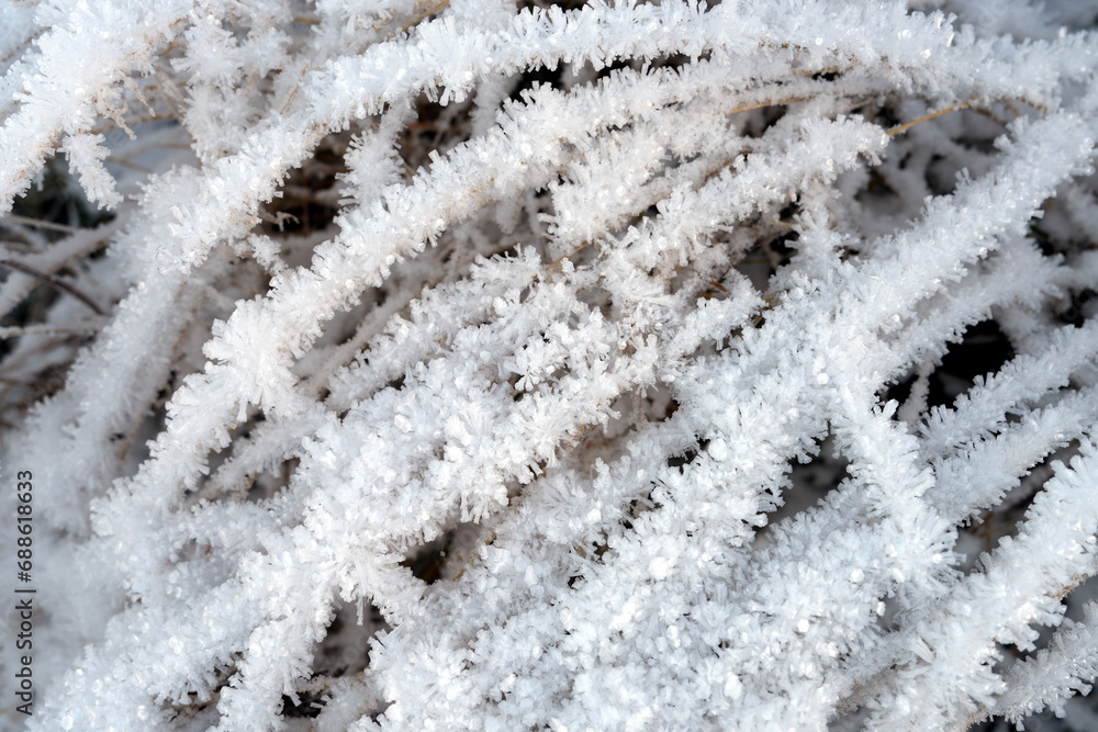 Raureif, Kristalle wie Blumen, weiß, Eis, gefroren, Frost, Winter Raureif, Kristalle wie Blumen, weiß, Eis, gefroren, Frost, Winter