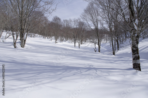 冬の雪原 © Araki