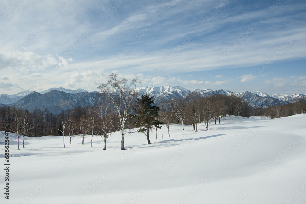 冬の雪原