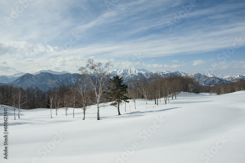 冬の雪原