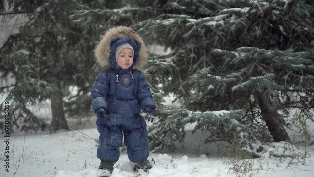 A small child stands near the fir trees in the snow. A boy in a down overalls plays in the snow in the park. A small child stands near the fir trees in the snow. A boy in a down overalls plays in the snow in the park.