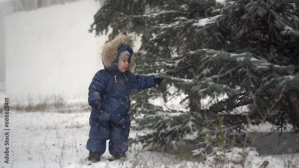 A small child stands near the fir trees in the snow. A boy in a down overalls plays in the snow in the park. Slow motion. A small child stands near the fir trees in the snow. A boy in a down overalls plays in the snow in the park. Slow motion.