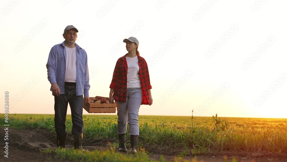 two farmers walk across field carrying box vegetables hands. vegetables sunset farm. farmer work. two farmers discussing work agriculture. fresh vegetables from garden. healthy eating harvest sunset