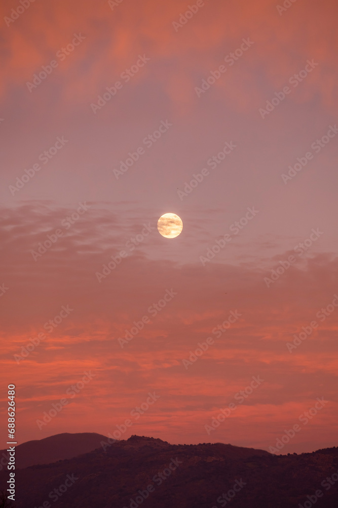 orange moon in the evening sky. full moon during sunset in evening sky. evening dusk orange red and yellow moon. Real photo.