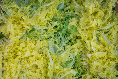 Detail of the green leaves of Curly escarole endive, for sale, from local gardens, at a street market. Healthy and organic food. photo