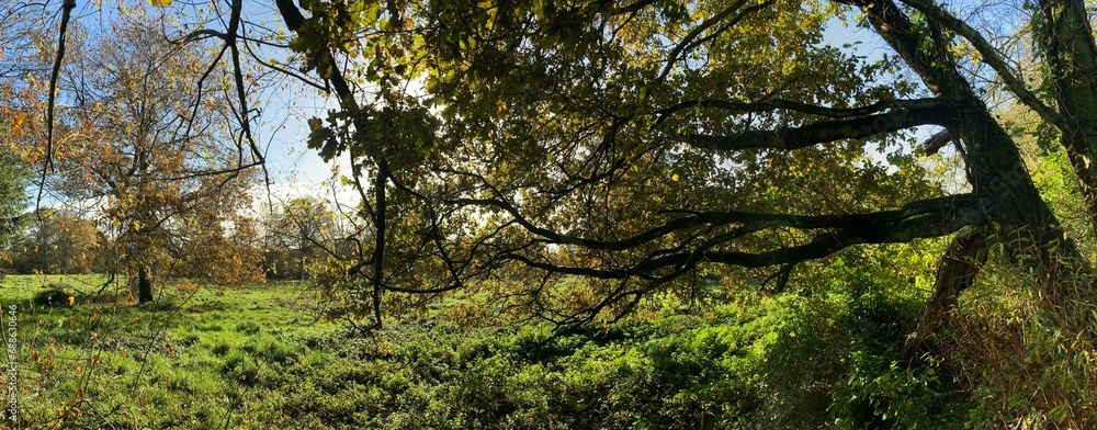 la campagne fin novembre 2023 à Barré-Nevez Finistère Cornouaille Bretagne France la campagne fin novembre 2023 à Barré-Nevez Finistère Cornouaille Bretagne France