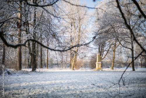 Snow on trees and ground in a park in the sun in wintertime © jokuephotography