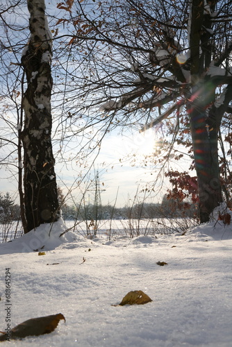 Zimowe krajobrazy. Las i staw podczas zimowych mrozów i słonecznych promieni. © marriaci_photo