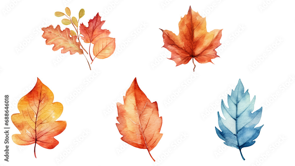 Autumn leaves in watercolor. Transparent background. Resource in png.