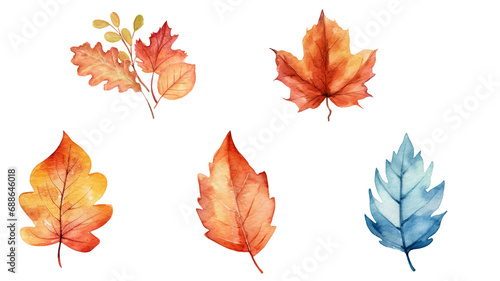 Autumn leaves in watercolor. Transparent background. Resource in png. © Moon Project