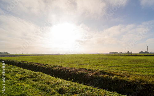 Country landscapes outside of the town of Ferwert, the Netherlands