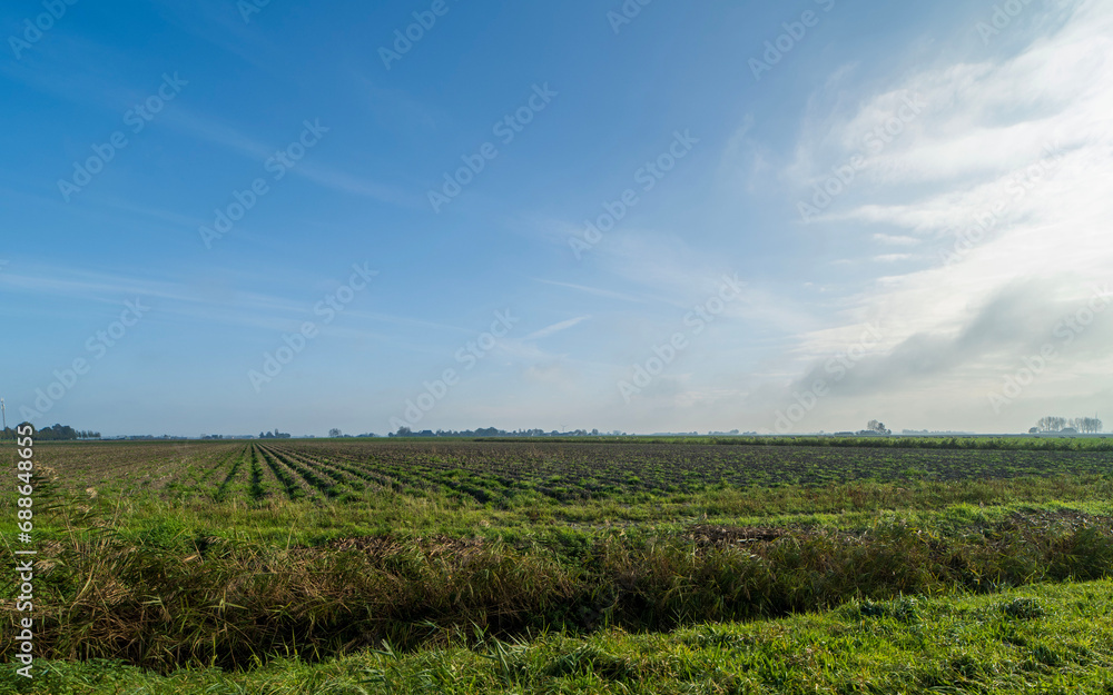 Agricultural fields near Blije, the Netherlands