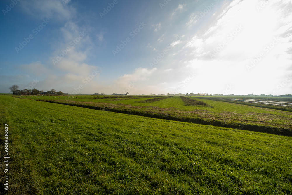 Agricultural fields in Noard-east Fryslan, the Netherlands