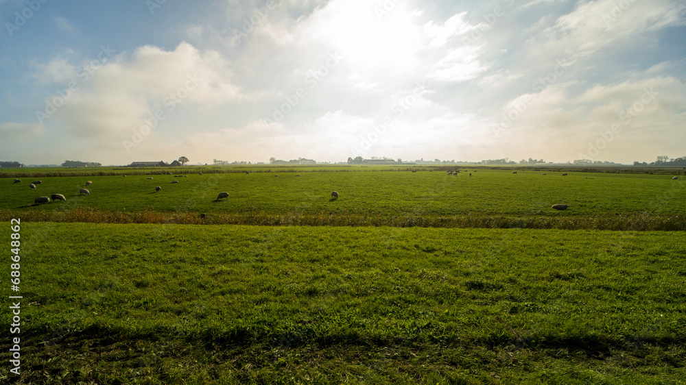 Agricultural fields in Noard-east Fryslan, the Netherlands
