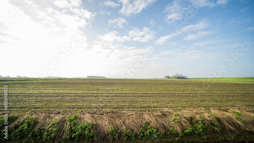 Agricultural fields near Blije, the Netherlands