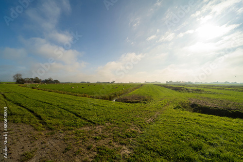 Agricultural fields in Noard-east Fryslan, the Netherlands