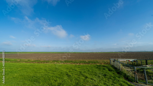 An agricultural field in Noardeast-Fryslân, Netherlands with geese.