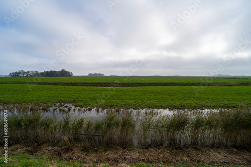 Fields outside of Ternaard, the Netherlands