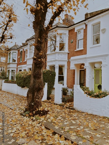 Canvas Print Winter Autumn Season, Hammersmith Street View, Urban Residential Area, British V