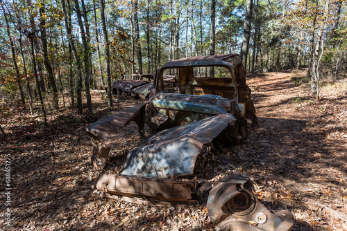 Vintage American cars left to rot in wooded area