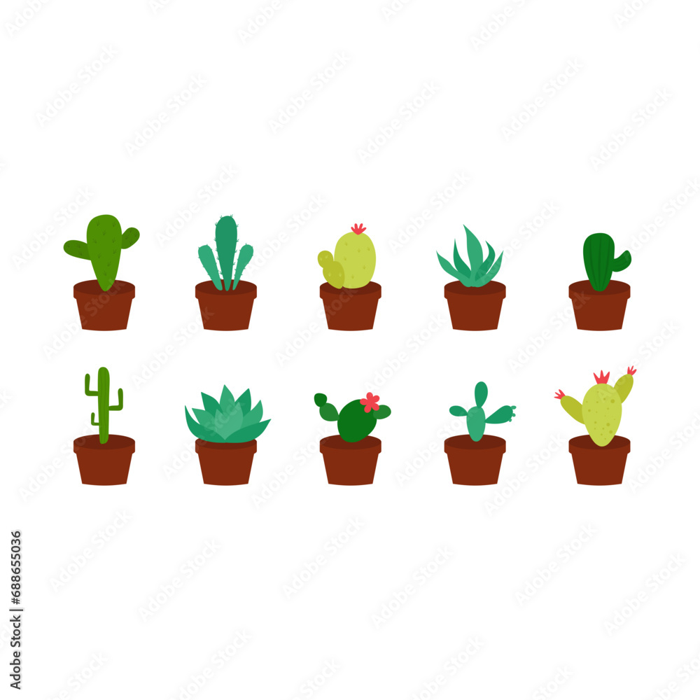 Fototapeta premium Potted Plant Cactus