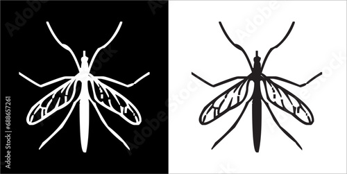 Illustration vector graphics of insect icon photo