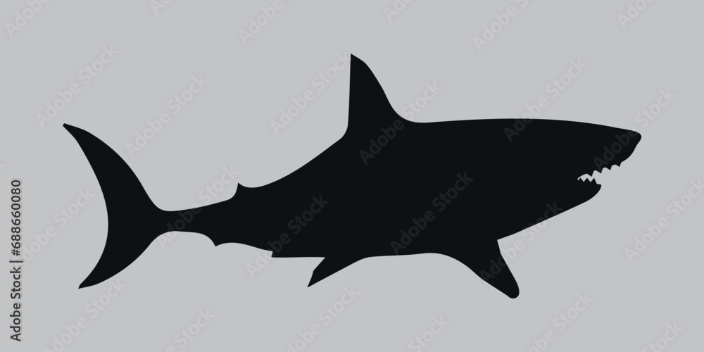 Silhouette of a shark. Black. Vector icon on a gray background Silhouette of a shark. Black. Vector icon on a gray background