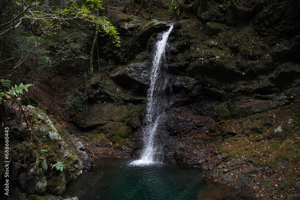 Fototapeta premium ほうき滝 愛知県新城市