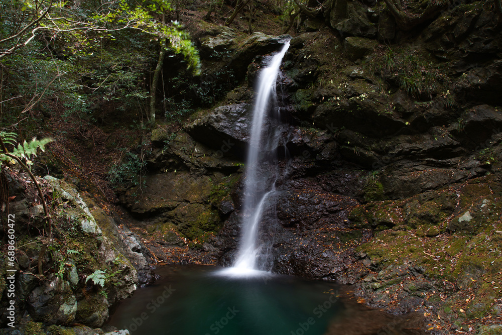 Fototapeta premium ほうき滝 愛知県新城市