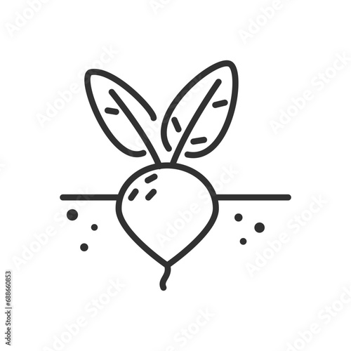 Beets in the ground, linear icon. Line with editable stroke